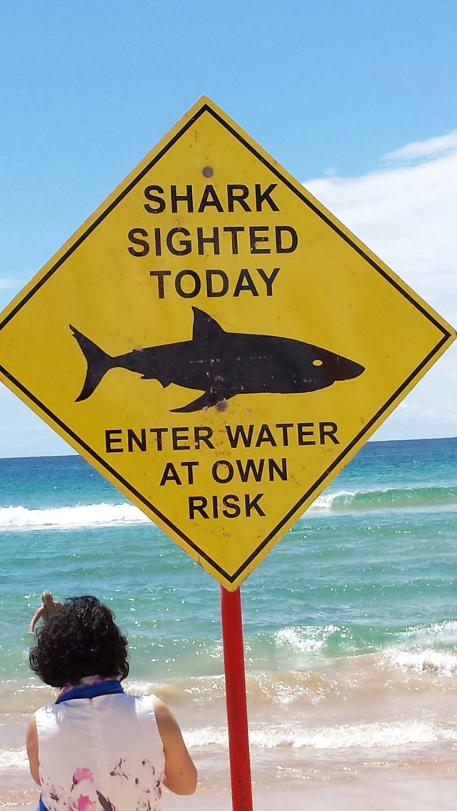 20160202_122041.jpg image