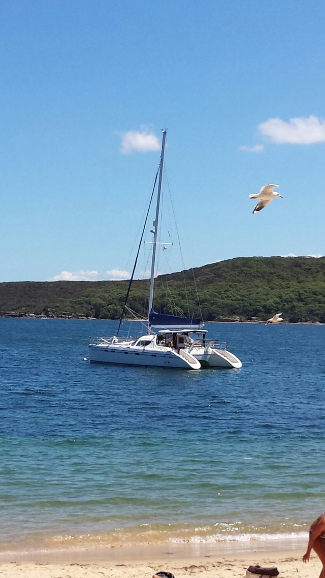 20160202_142651.jpg image