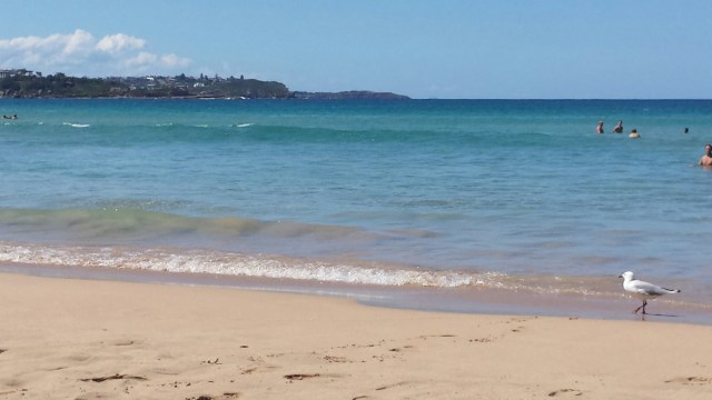 20160202_151653.jpg image