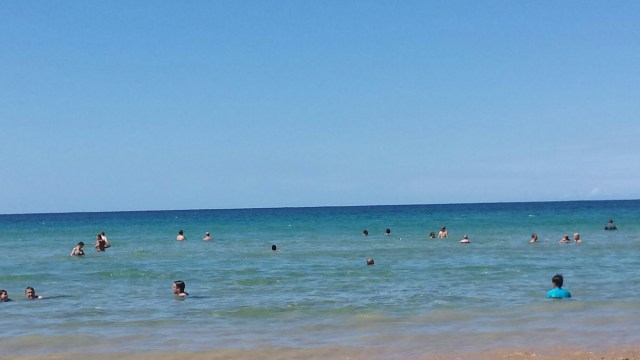 20160202_151656.jpg image